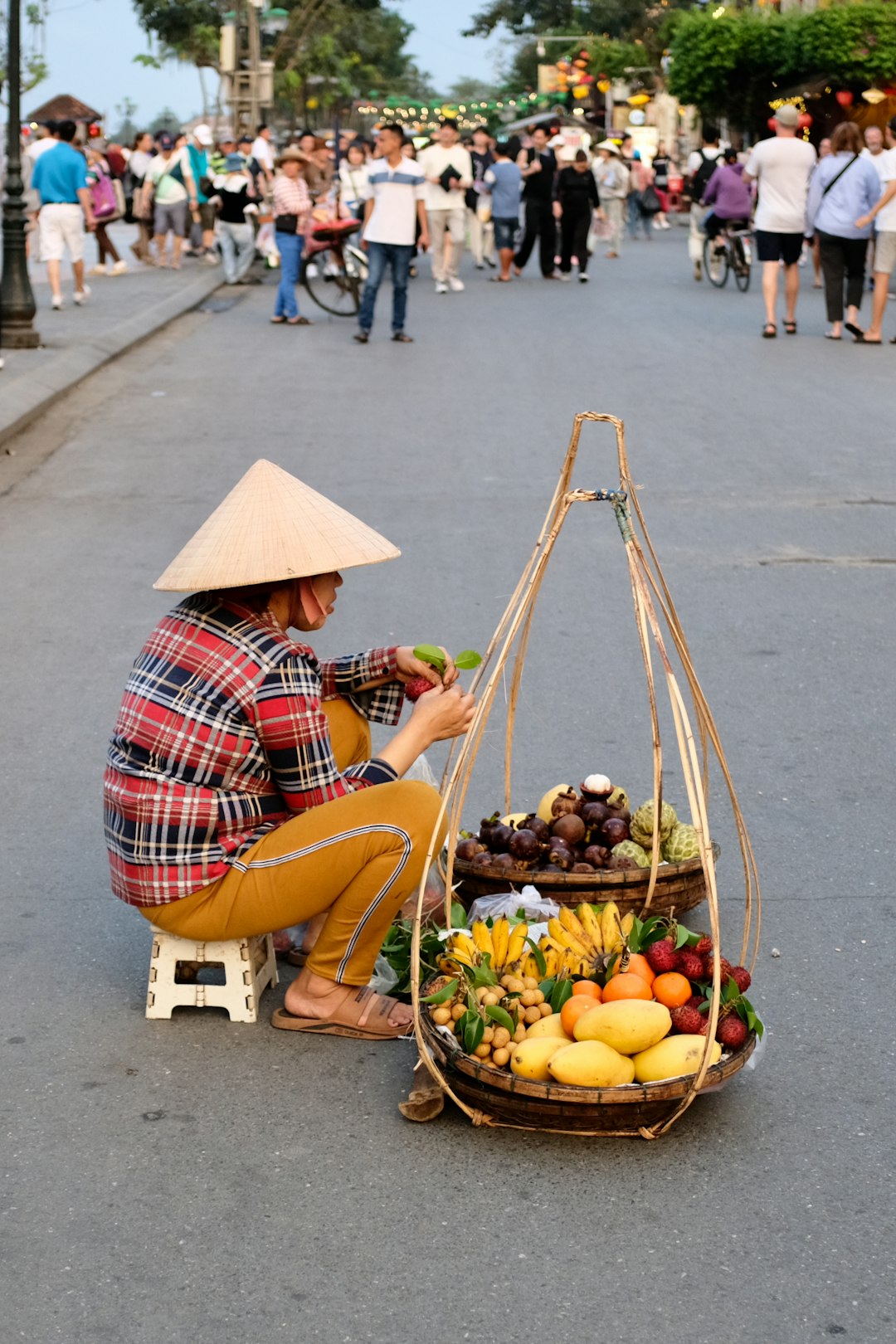 桂圆